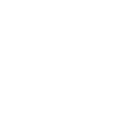 開発のアイコン